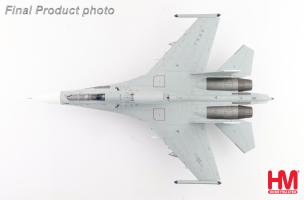 Su-30MK2 No.17, PLANAF, 2022 (low visbility scheme)